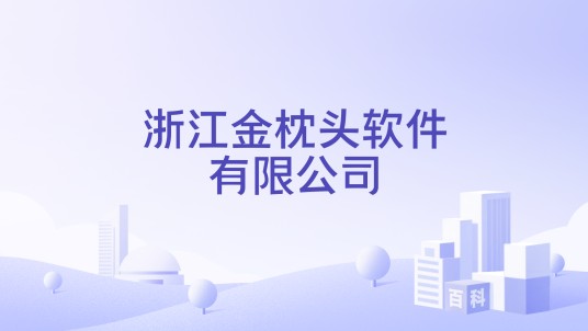 浙江金枕头软件有限公司