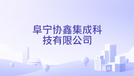 阜宁协鑫集成科技有限公司