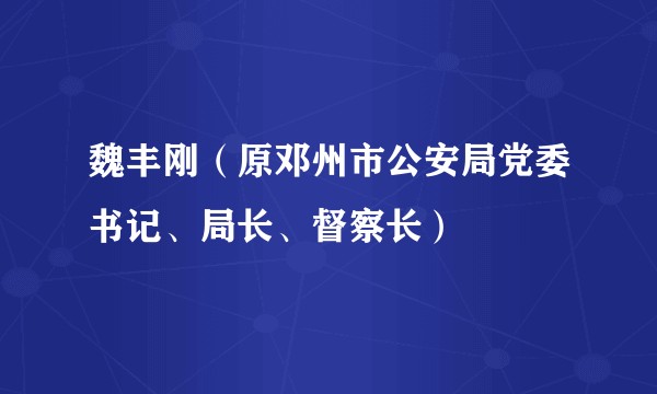 魏丰刚（原邓州市公安局党委书记、局长、督察长）