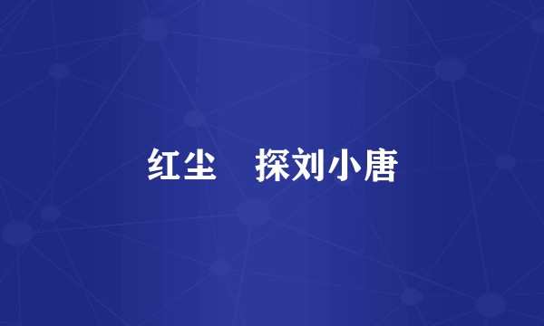 红尘囧探刘小唐