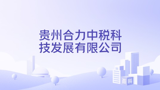 贵州合力中税科技发展有限公司