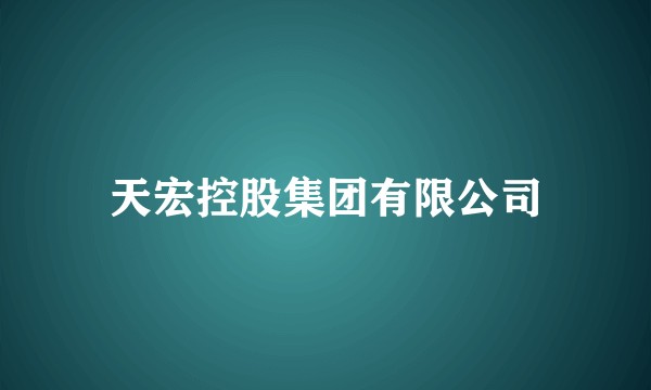 天宏控股集团有限公司