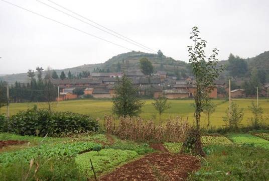 土桥村(广东省东莞市清溪镇土桥村)