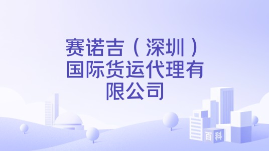 赛诺吉（深圳）国际货运代理有限公司