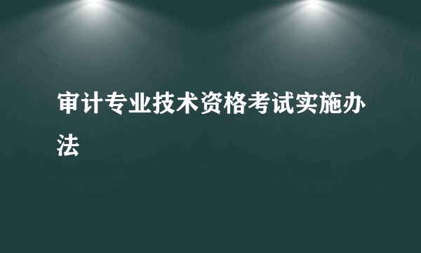 审计专业技术资格考试实施办法