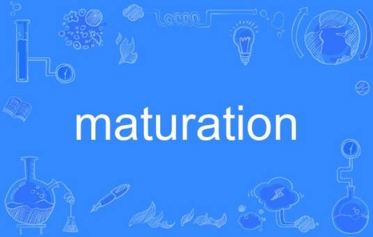 maturation