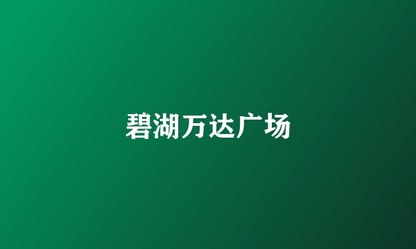 碧湖万达广场