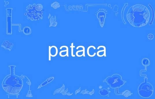 pataca