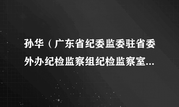孙华（广东省纪委监委驻省委外办纪检监察组纪检监察室原副主任）