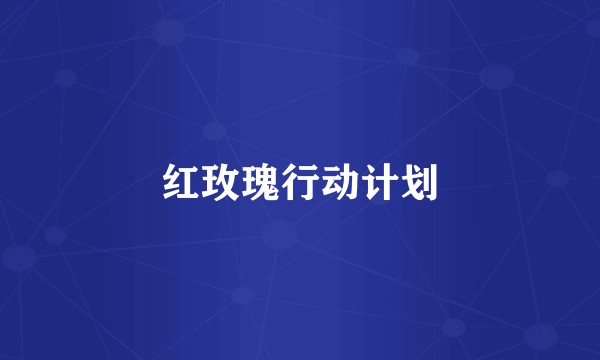红玫瑰行动计划