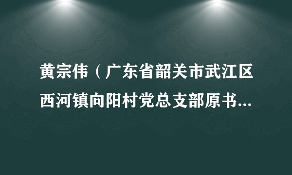 黄宗伟（广东省韶关市武江区西河镇向阳村党总支部原书记、村委会原主任）