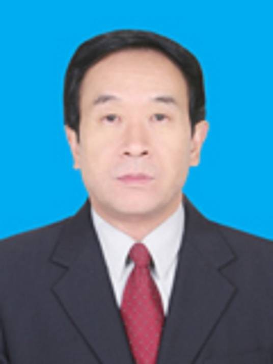 王新亚（陕西省渭南市纪委原副书记）