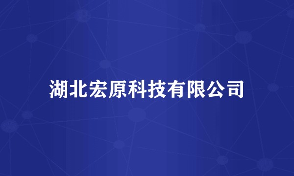 湖北宏原科技有限公司