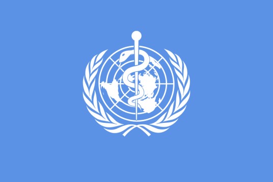 世界卫生组织（联合国下属的一个专门机构）