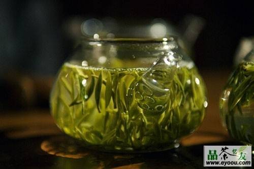 雁荡毛峰