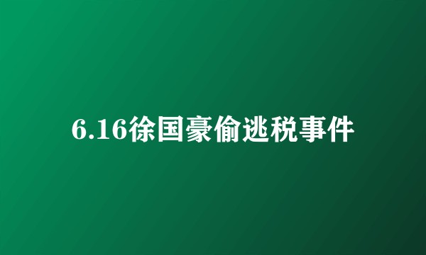 6.16徐国豪偷逃税事件