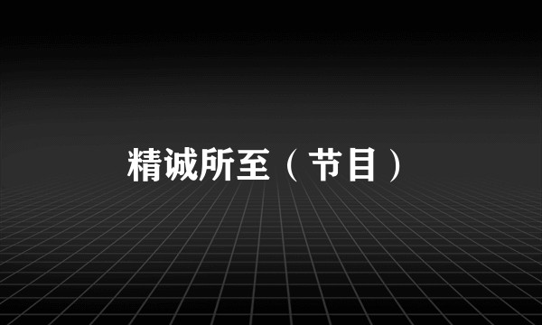精诚所至（节目）