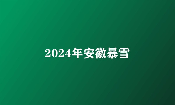 2024年安徽暴雪