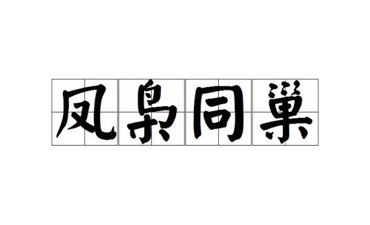 凤枭同巢