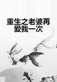 重生之老婆再爱我一次（玖一寻创作的网络小说）
