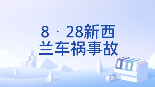 8·28新西兰车祸事故
