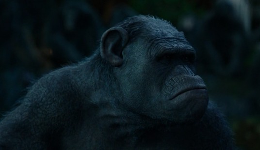 火箭（电影《猩球崛起》中的角色）