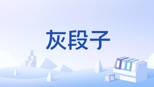 灰段子