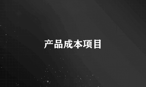 产品成本项目