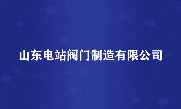 山东电站阀门制造有限公司