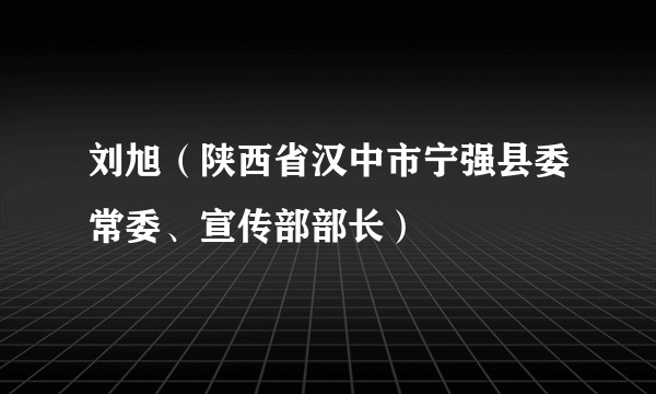 刘旭（陕西省汉中市宁强县委常委、宣传部部长）