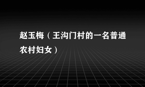 赵玉梅（王沟门村的一名普通农村妇女）