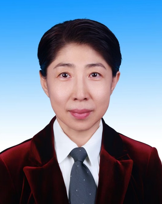 蔡琦(新疆维吾尔自治区人力资源和社会保障厅党组成员、副厅长)
