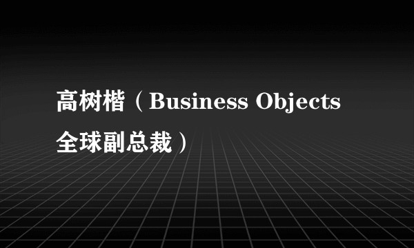 高树楷（Business Objects全球副总裁）