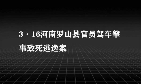 3·16河南罗山县官员驾车肇事致死逃逸案