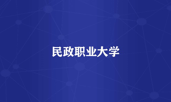 民政职业大学