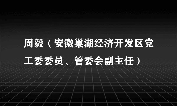 周毅（安徽巢湖经济开发区党工委委员、管委会副主任）