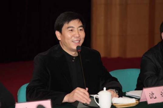 沈诚（中国音乐学院教授、博士研究生导师，华中科技大学艺术学院院长）