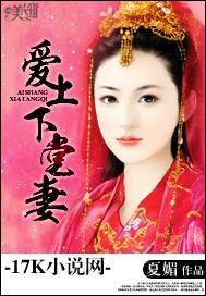 爱上下堂妻