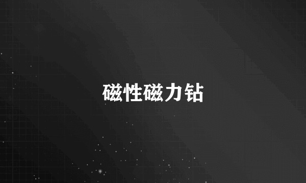 磁性磁力钻