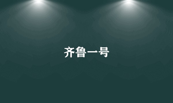 齐鲁一号