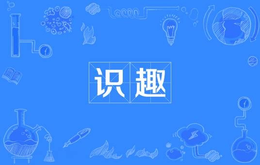 识趣（汉语词汇）