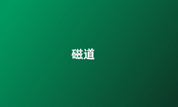 磁道砲