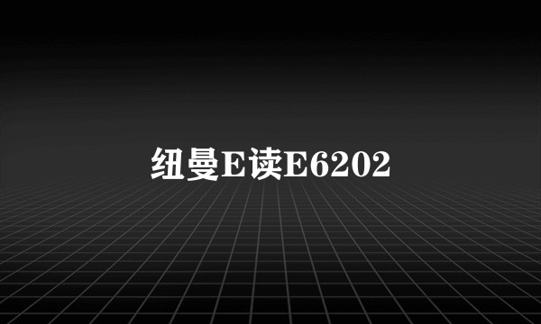 纽曼E读E6202