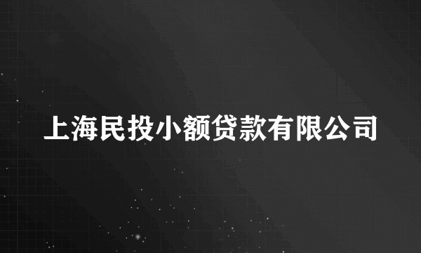 上海民投小额贷款有限公司