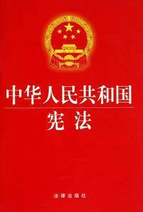 依宪治国(习近平总书记提出的理念)