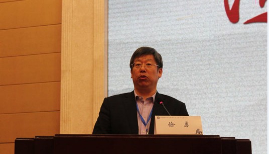 徐勇（首都师范大学教授）