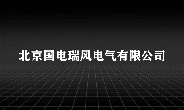 北京国电瑞风电气有限公司