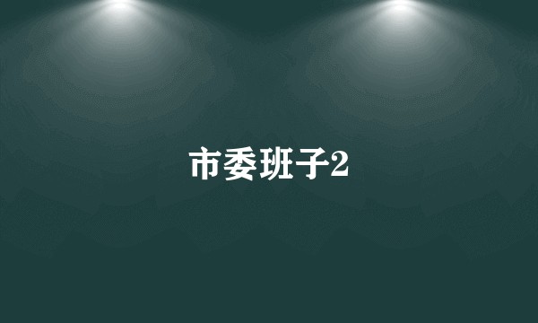 市委班子2