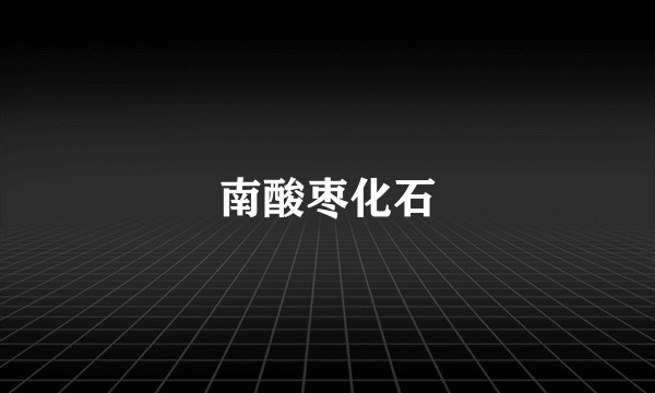 南酸枣化石