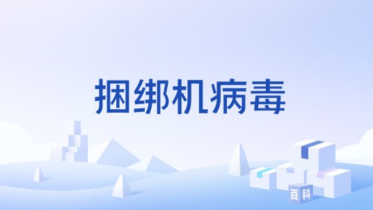 捆绑机病毒